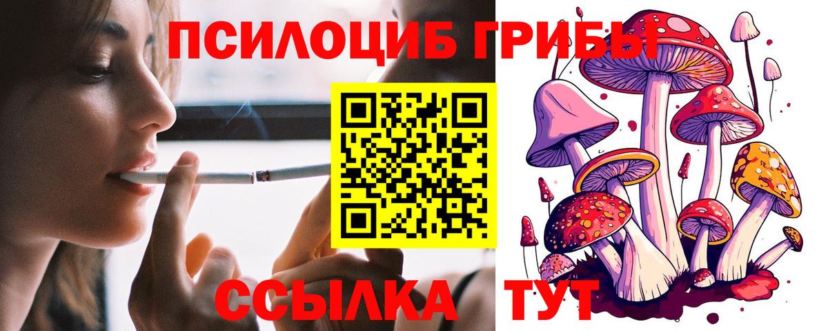 Галлюциногенные грибы Psilocybine cubensis Кстово